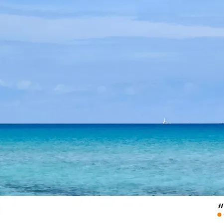 Il Melarancio Del Salento Lendinuso