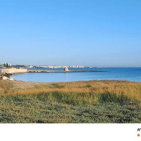 Villa Il Melarancio Del Salento Lendinuso